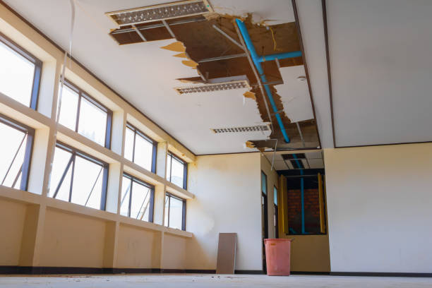 Best Ceiling water damage repair  in Glenville, CT