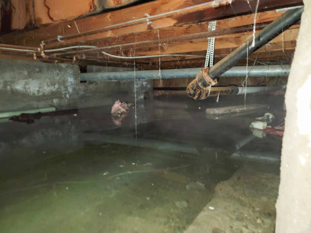  Glenville, CT Water damage restoration Pros