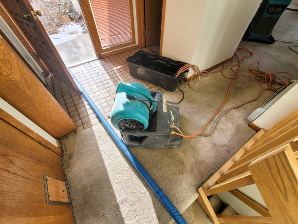 Best Carpet water damage restoration  in Glenville, CT
