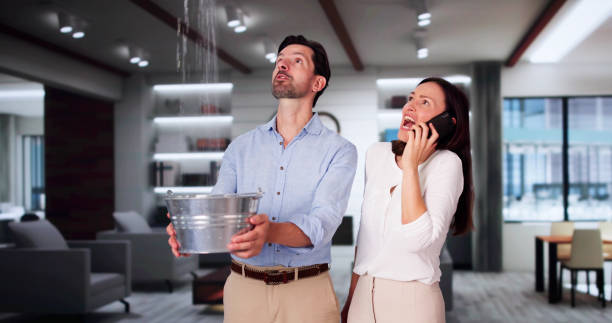 Best Residential water damage restoration  in Glenville, CT