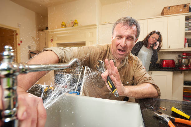Best Water damage cleanup near me  in Glenville, CT
